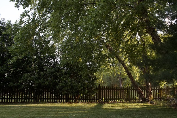 Property Management Blog