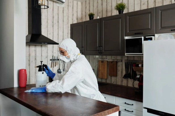 The Growing Demand for Professional Cleaning Services in the Rental Market